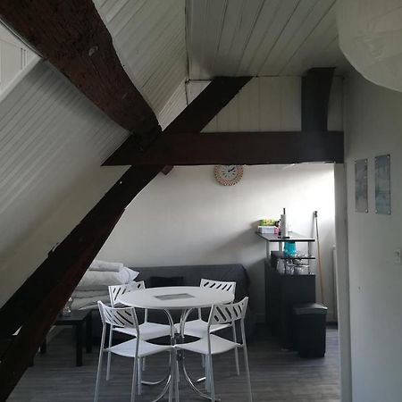 Appartement Spacieux Vue Sur Loire Proche Du Centre Blois Esterno foto