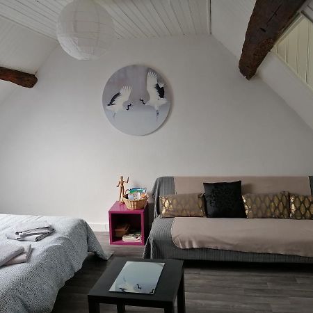 Appartement Spacieux Vue Sur Loire Proche Du Centre Blois Esterno foto
