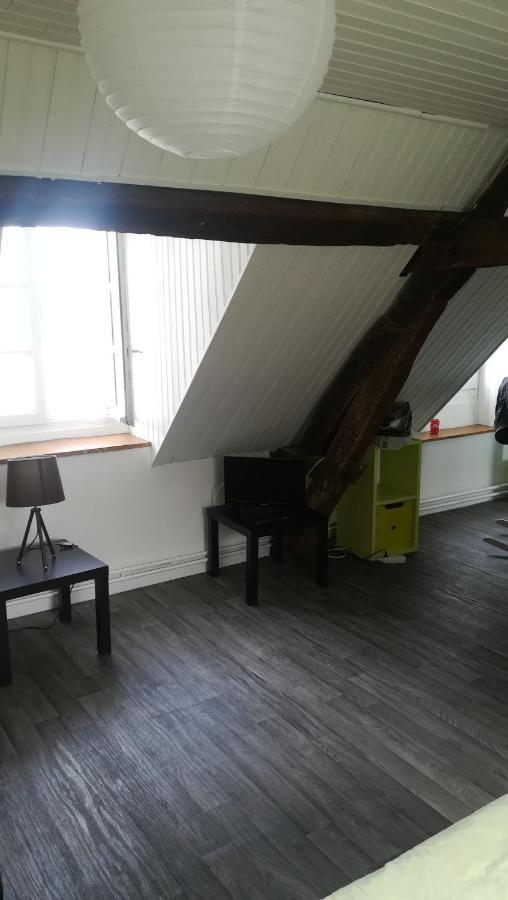 Appartement Spacieux Vue Sur Loire Proche Du Centre Blois Esterno foto