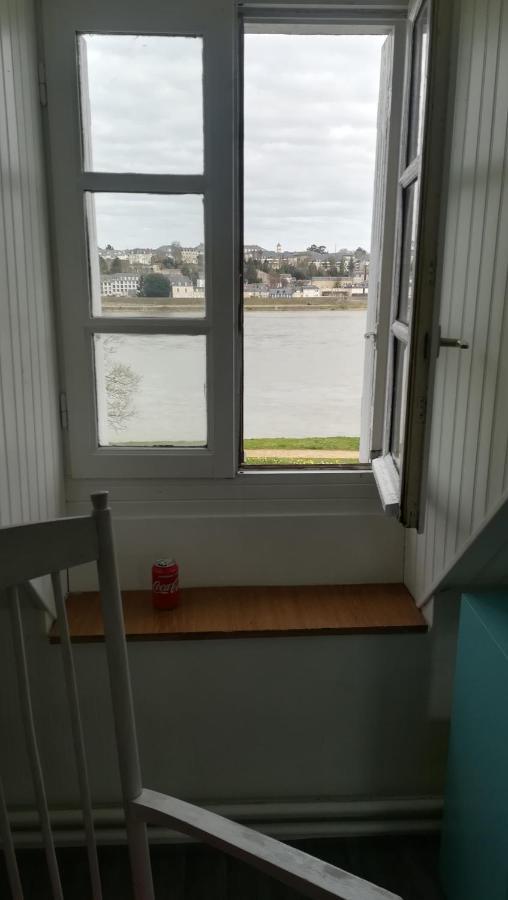 Appartement Spacieux Vue Sur Loire Proche Du Centre Blois Esterno foto