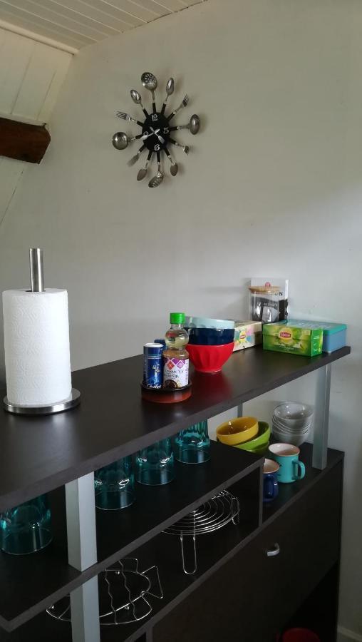 Appartement Spacieux Vue Sur Loire Proche Du Centre Blois Esterno foto