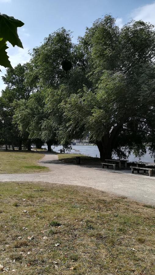 Appartement Spacieux Vue Sur Loire Proche Du Centre Blois Esterno foto