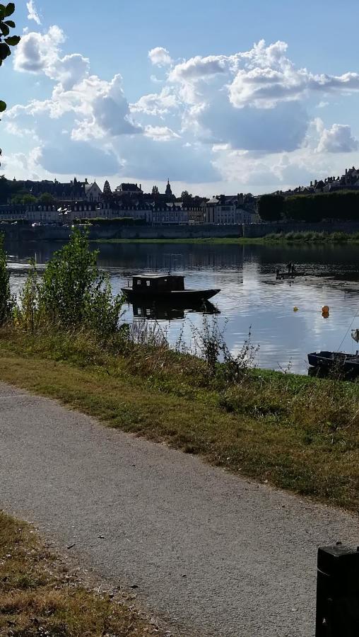 Appartement Spacieux Vue Sur Loire Proche Du Centre Blois Esterno foto