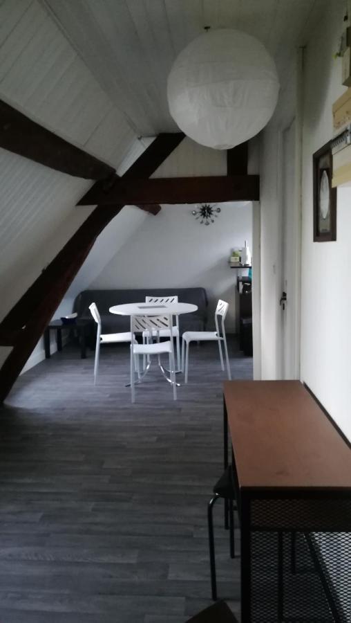 Appartement Spacieux Vue Sur Loire Proche Du Centre Blois Esterno foto