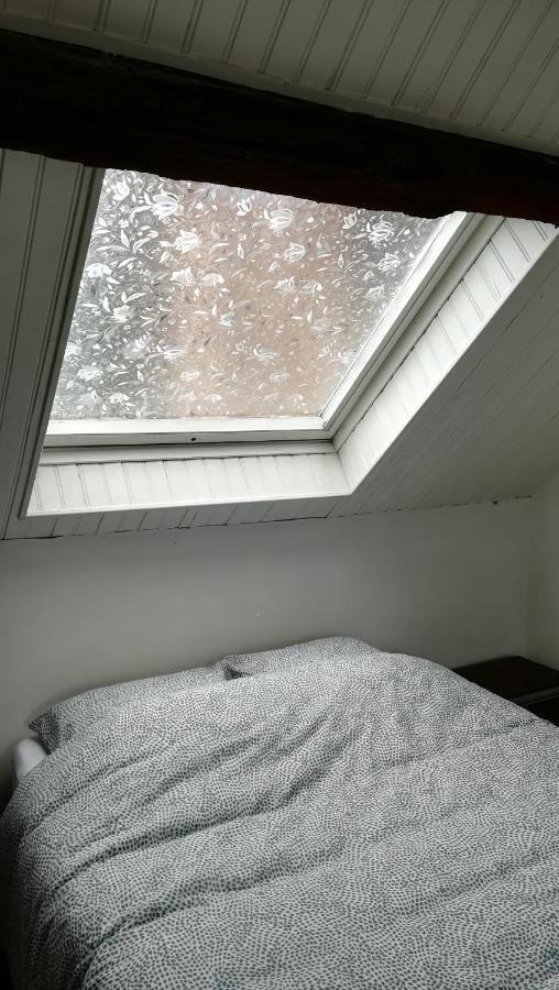 Appartement Spacieux Vue Sur Loire Proche Du Centre Blois Esterno foto
