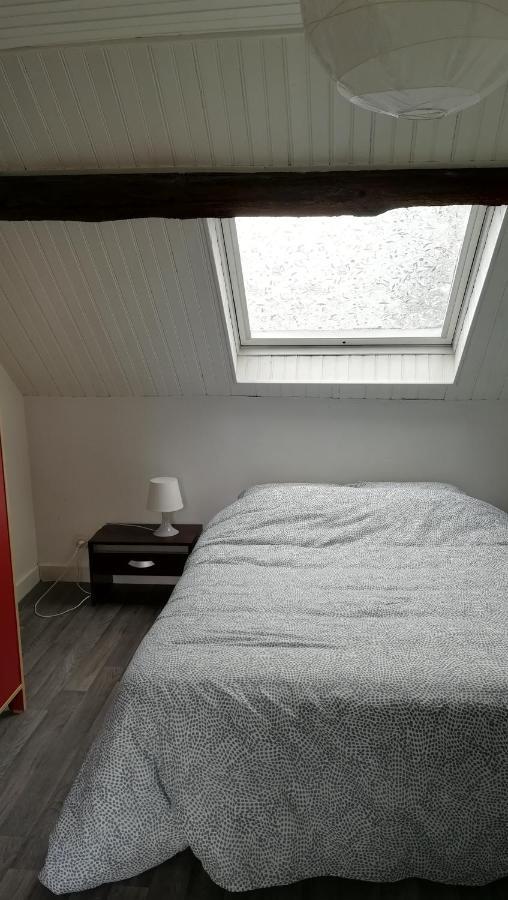Appartement Spacieux Vue Sur Loire Proche Du Centre Blois Esterno foto