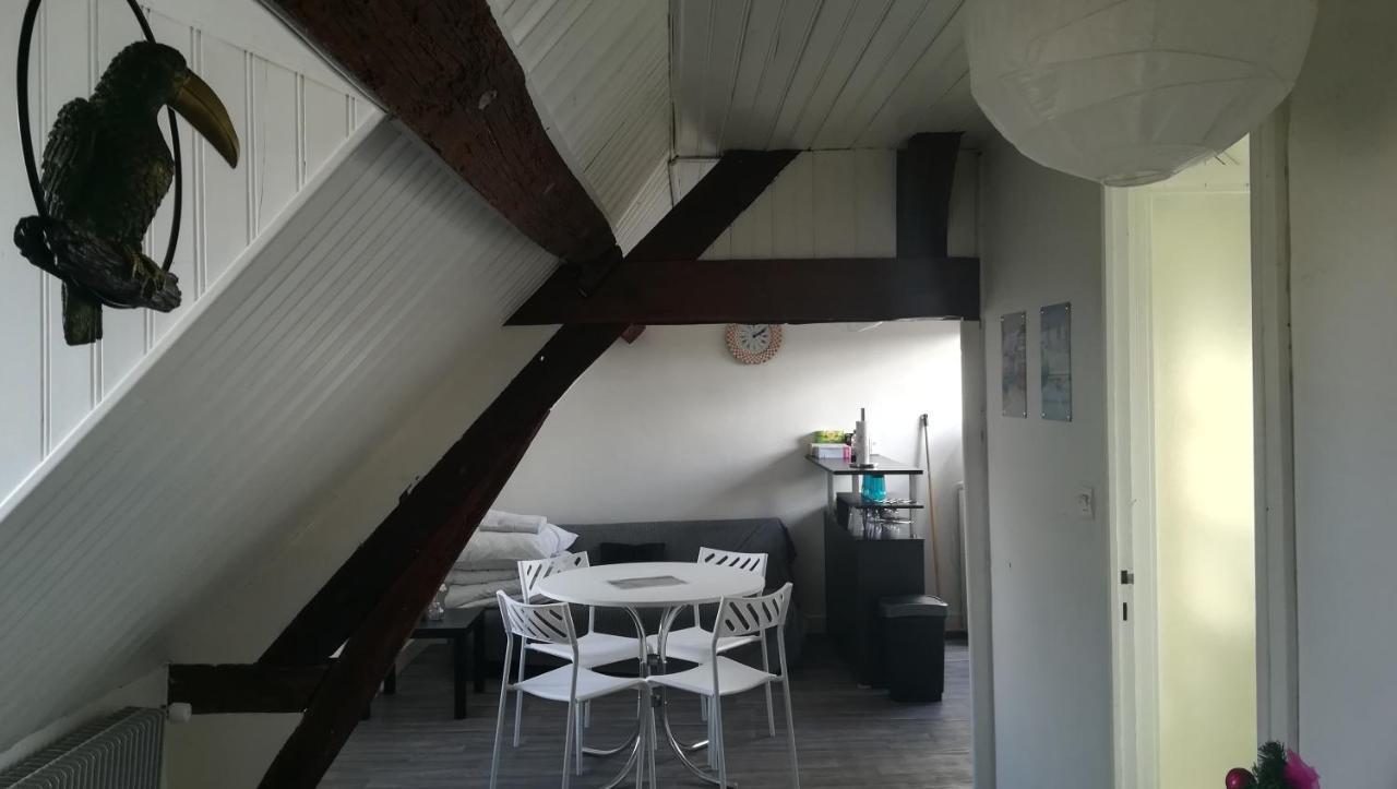 Appartement Spacieux Vue Sur Loire Proche Du Centre Blois Esterno foto